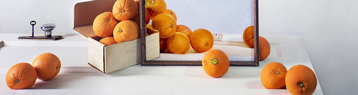 纽约视觉艺术学院（SVA）研究生申请攻略