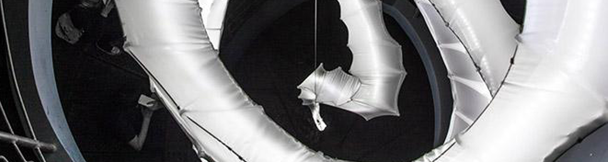 本来只想来ROSSO做个作品集，没想到还办了人生第一次个展……