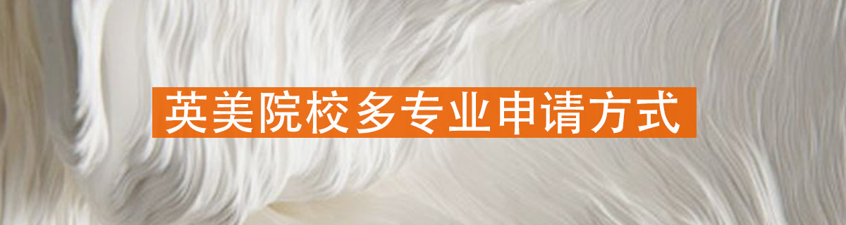 关于多专业申请，这些你还需要知道